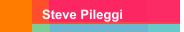 Steve Pileggi